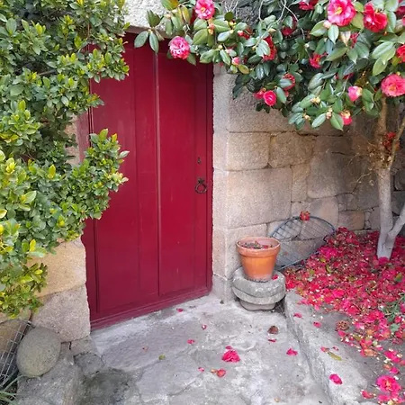 Alojamento de Acomodação e Pequeno-almoço Casa Freiras 3*